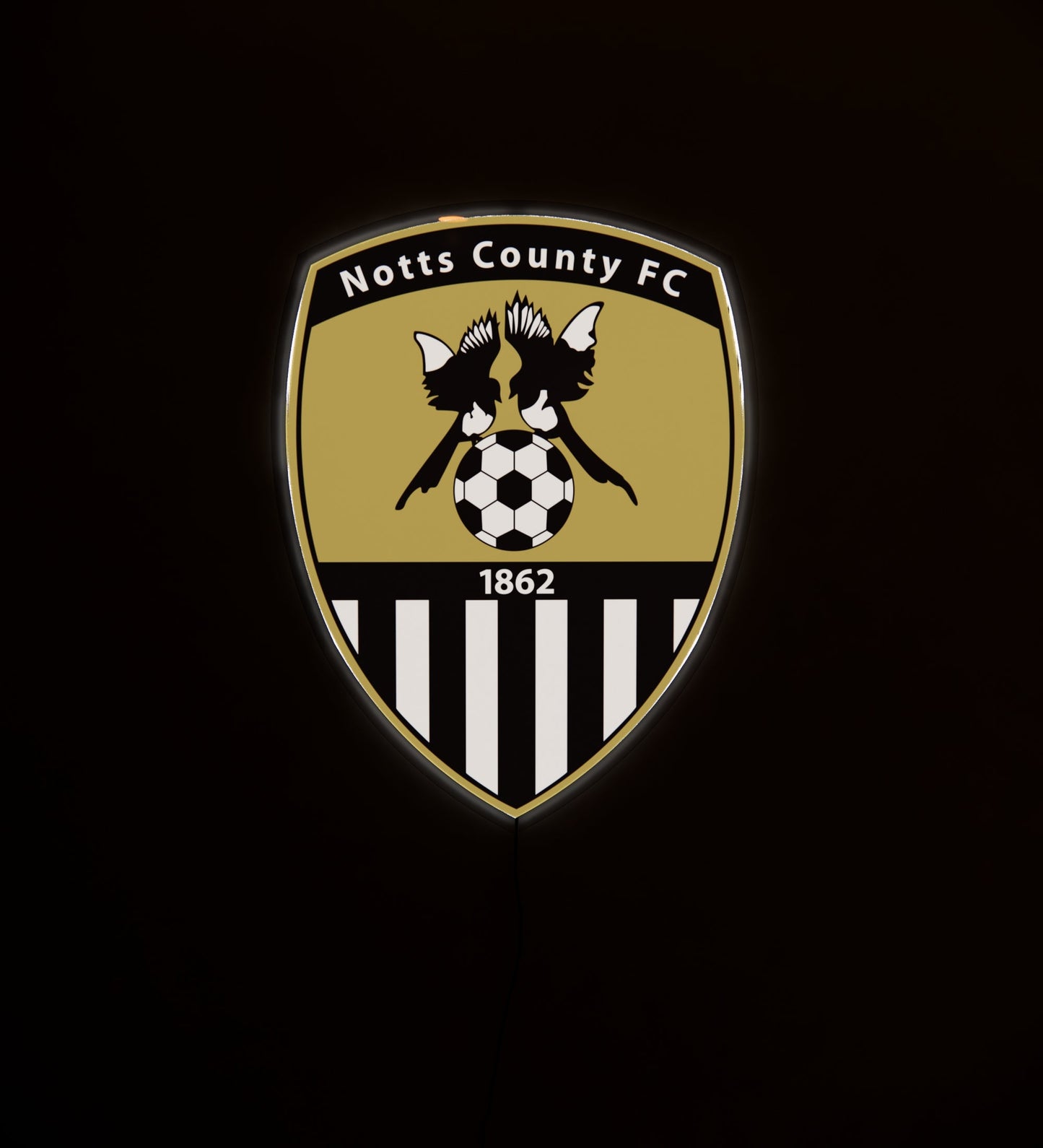 NCO FC Badge LED 15 inches (38cm)